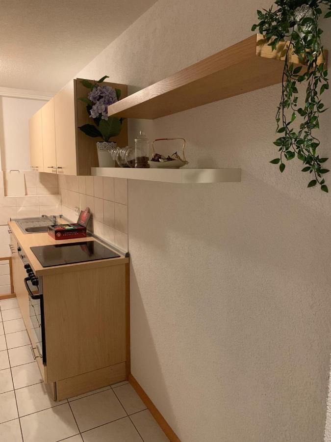 Holiday Home Nahe Europapark Лар Екстер'єр фото